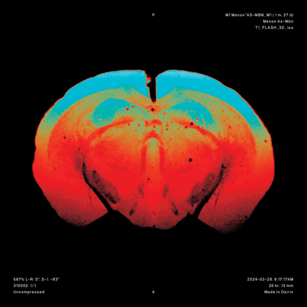 Western Alumni Magazine Spring 2024