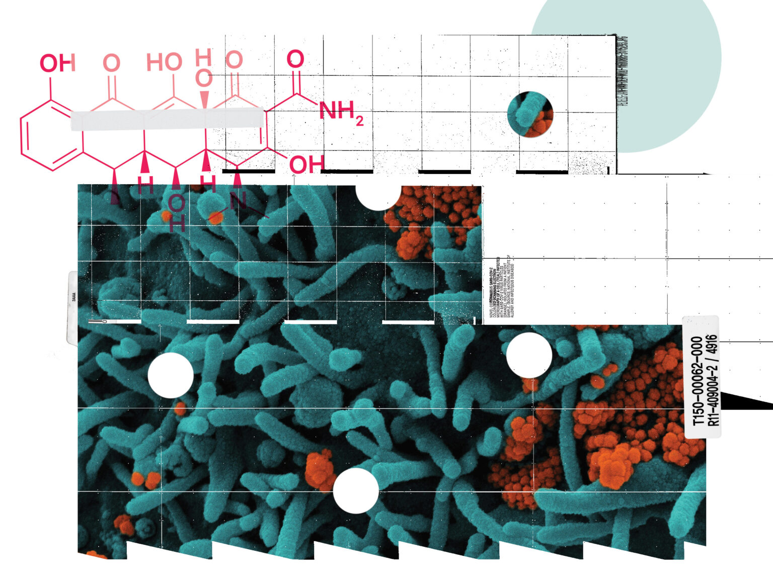 Patho0gen New Pathogen Research Centre to boost vaccine innovation - Western ...